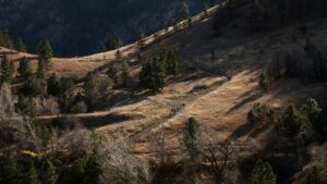 An image of a trial winding through a field as people walk along it in the distance. Learn how a therapist in boulder, co can help you create healthier habits this summer by searching for support via telehealth in Boulder, CO. Learn more about online therapy in Boulder, CO and how you can get support with depression in Boulder, CO today. 