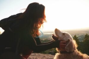 An owner pets their dog on a sunny evening. Learn how a therapist in Boulder, CO can help you practice and benefit from healthier habits to combat depression. Telehealth in Boulder, CO can offer support today.